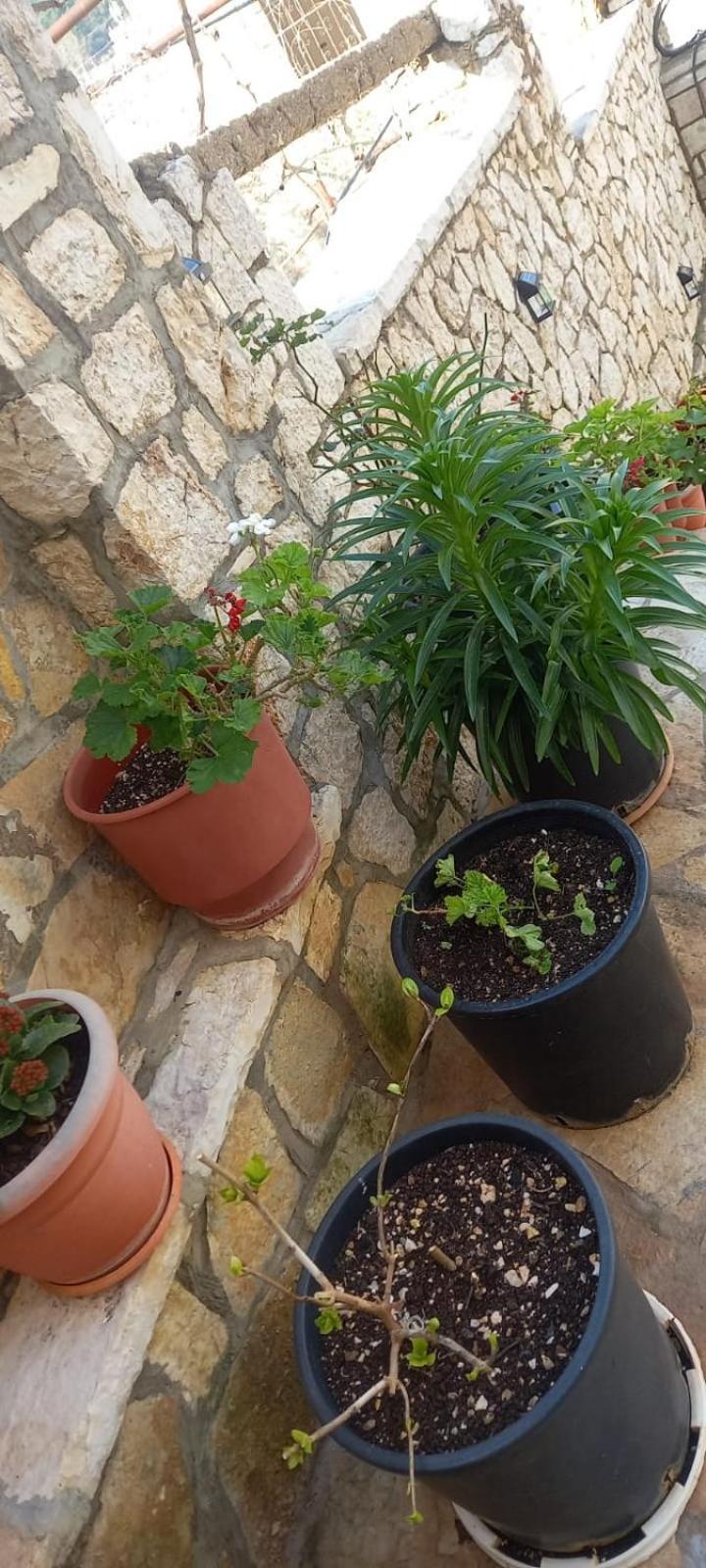 Himara Apartments Luaran gambar